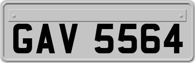 GAV5564