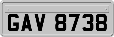 GAV8738