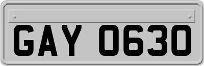 GAY0630
