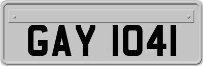 GAY1041