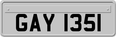 GAY1351