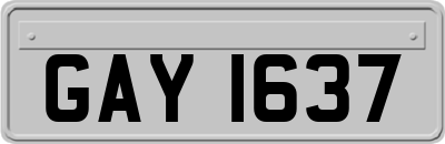 GAY1637