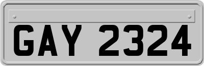 GAY2324