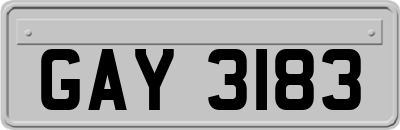 GAY3183