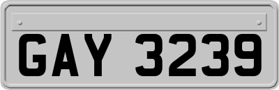 GAY3239