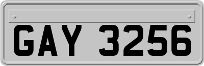 GAY3256
