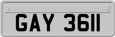 GAY3611