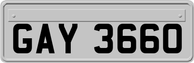 GAY3660