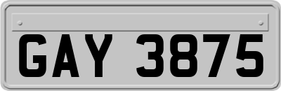 GAY3875