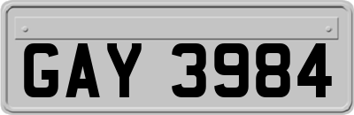 GAY3984