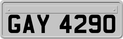 GAY4290