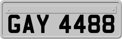 GAY4488