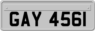 GAY4561