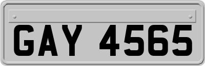 GAY4565