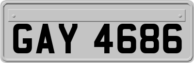 GAY4686