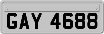 GAY4688