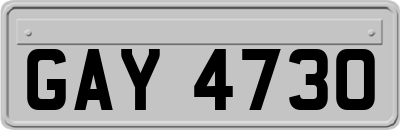 GAY4730