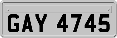 GAY4745