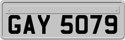 GAY5079