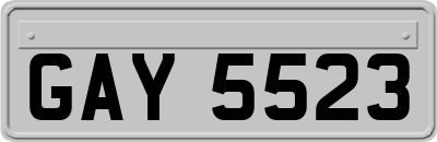 GAY5523