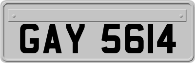 GAY5614