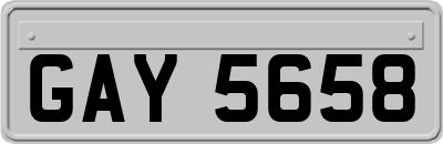 GAY5658