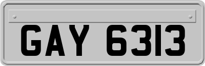 GAY6313