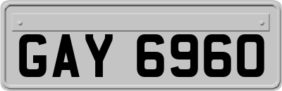 GAY6960