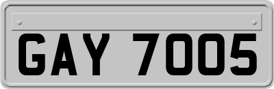 GAY7005