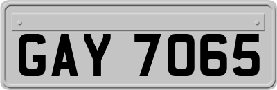 GAY7065