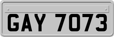 GAY7073