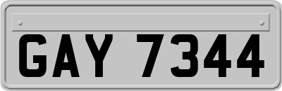 GAY7344