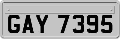 GAY7395
