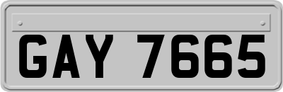 GAY7665