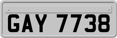 GAY7738