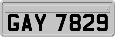 GAY7829