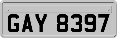 GAY8397