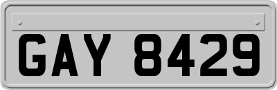 GAY8429