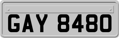 GAY8480