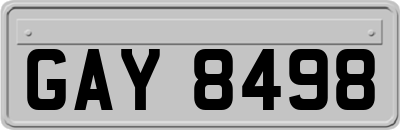 GAY8498