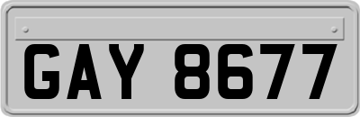 GAY8677