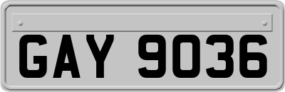 GAY9036
