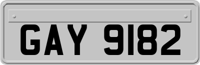 GAY9182