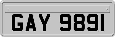GAY9891