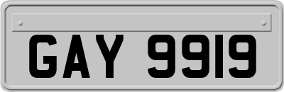 GAY9919