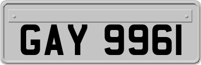GAY9961