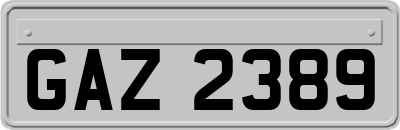 GAZ2389