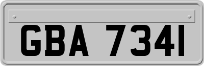 GBA7341