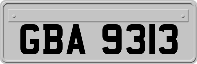 GBA9313