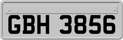 GBH3856
